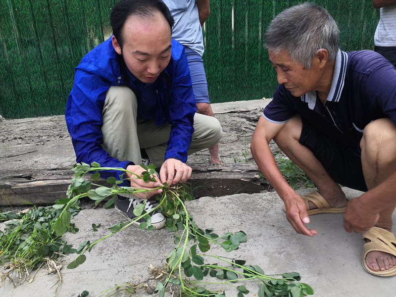 杨弘在给花生种植户讲解灾后复产技术2_副本.jpg