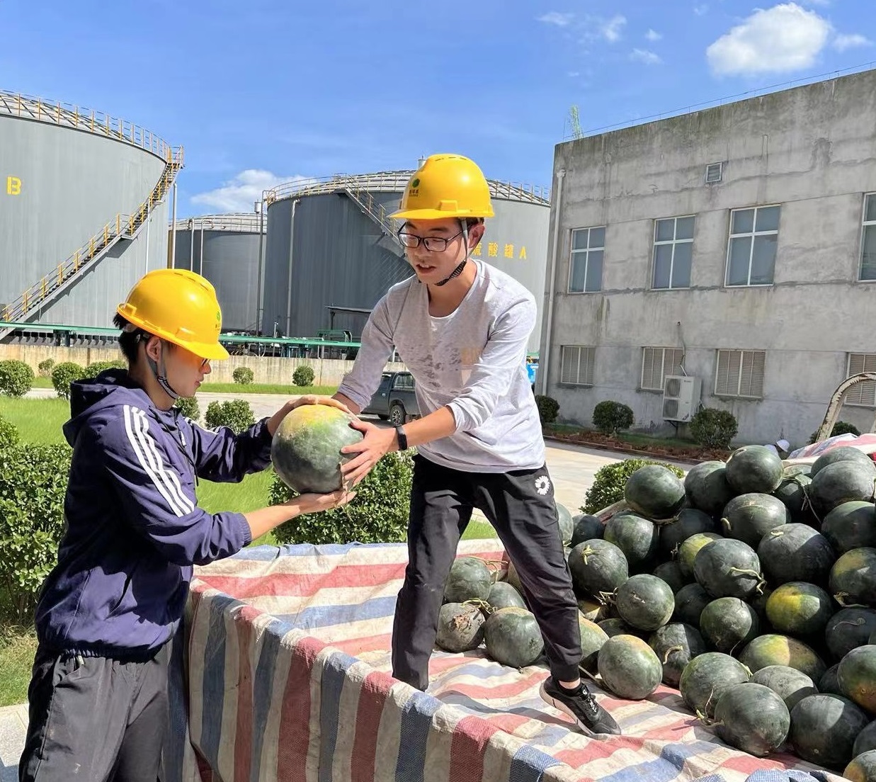 宜昌ylg060net永利娱高为职工准备西瓜.jpg